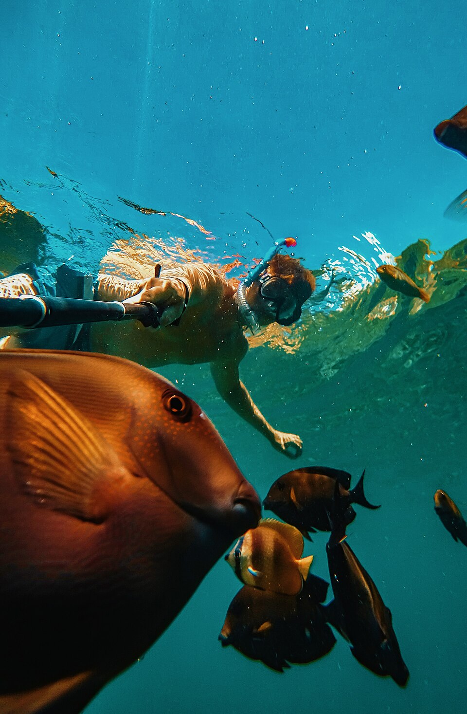 Snorkeling